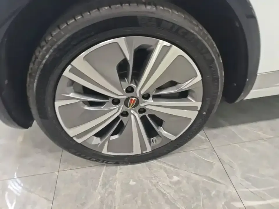 Hongqi Hongqi E-HS9