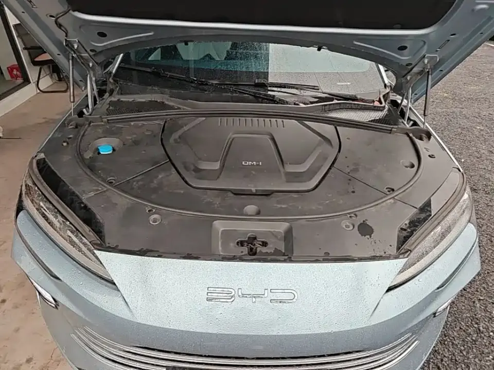 BYD PLUS New Energy