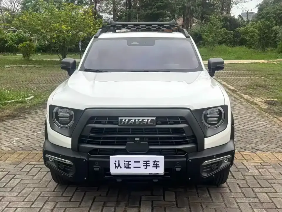 Haval Big Dog