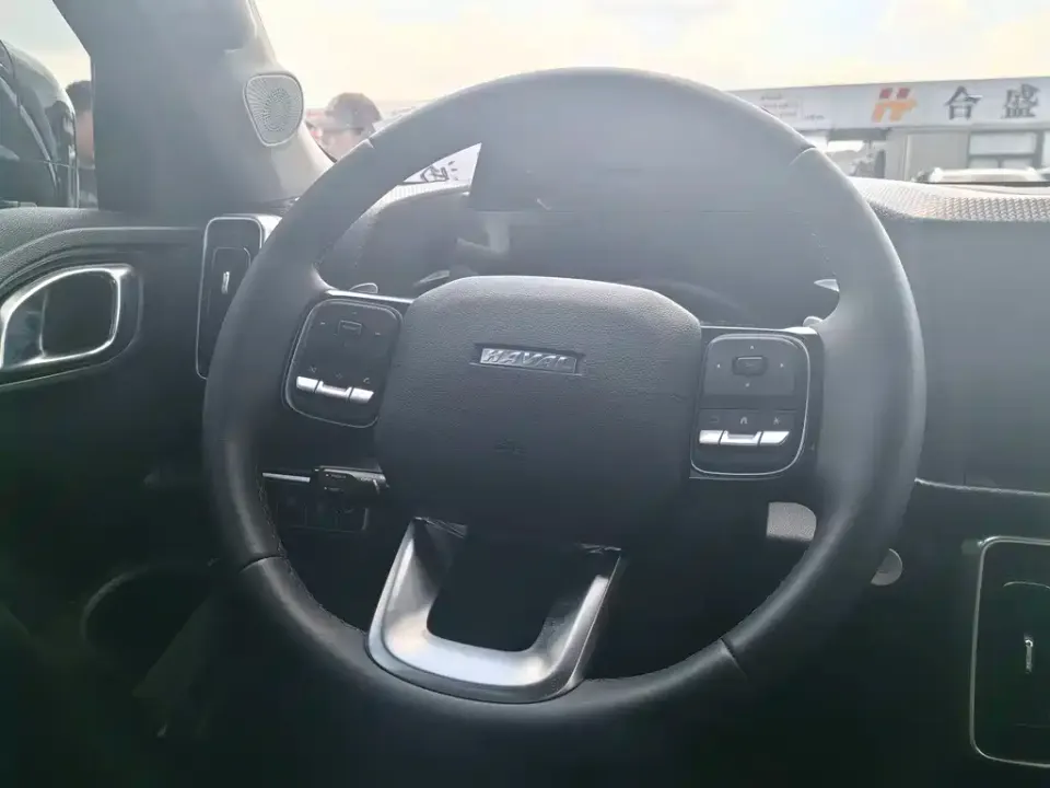 Haval Big Dog