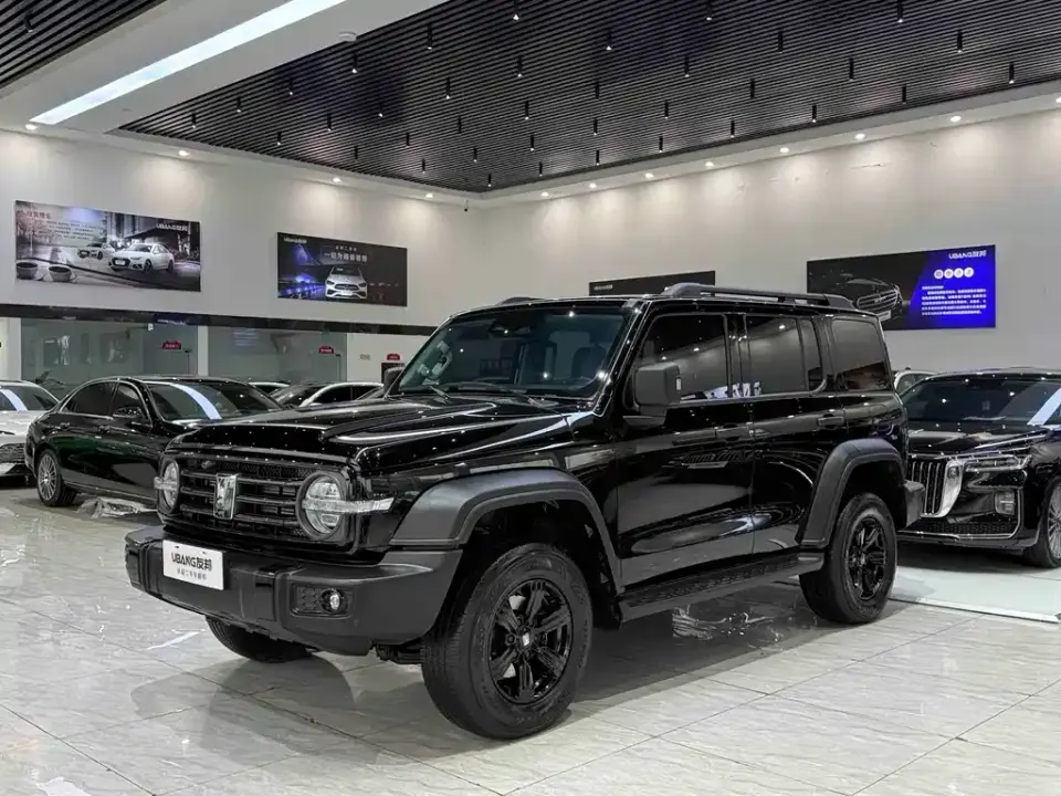 Tank 300