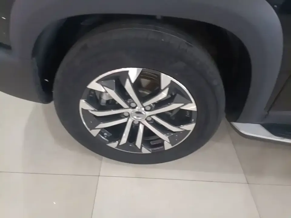 Haval Big Dog