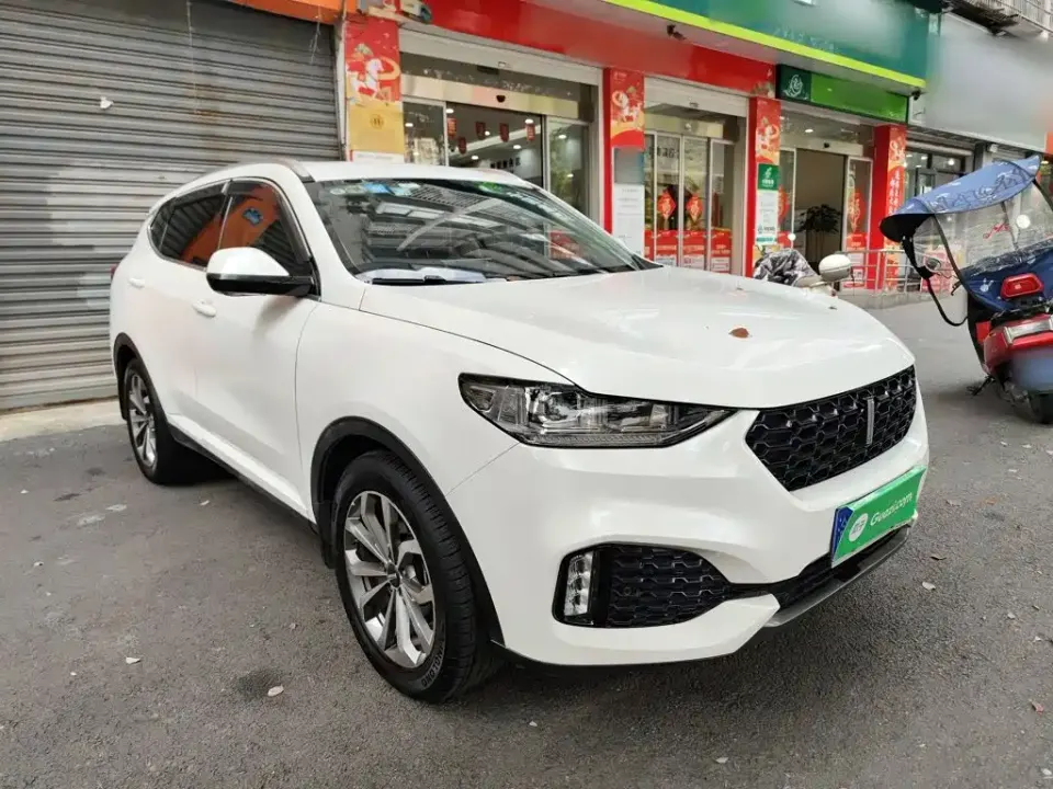 WEY Wey VV6
