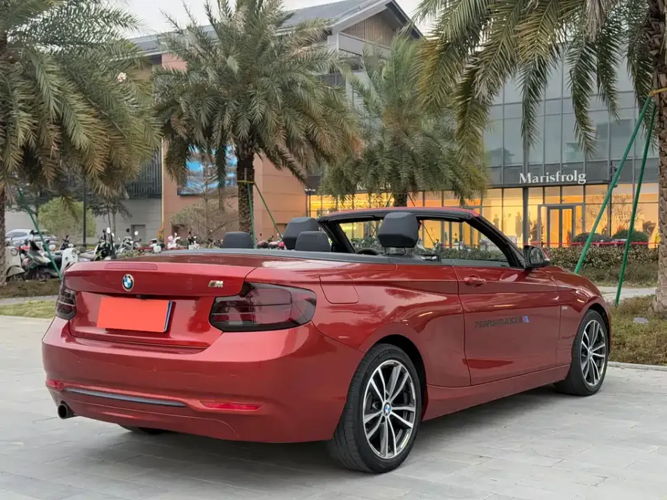 BMW 2 Series (Import)