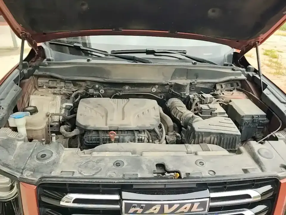 Haval Big Dog