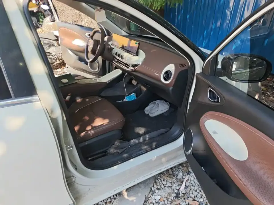 Wuling Bingo