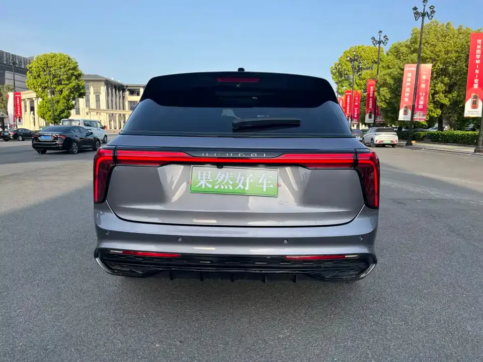 Hongqi Hongqi E-HS9