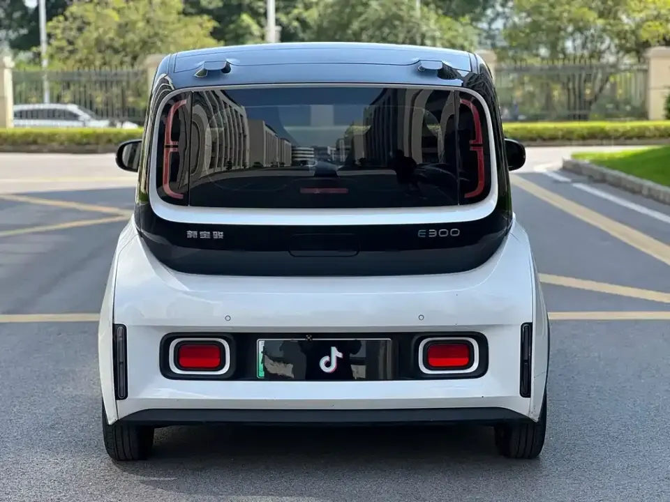 Baojun E300