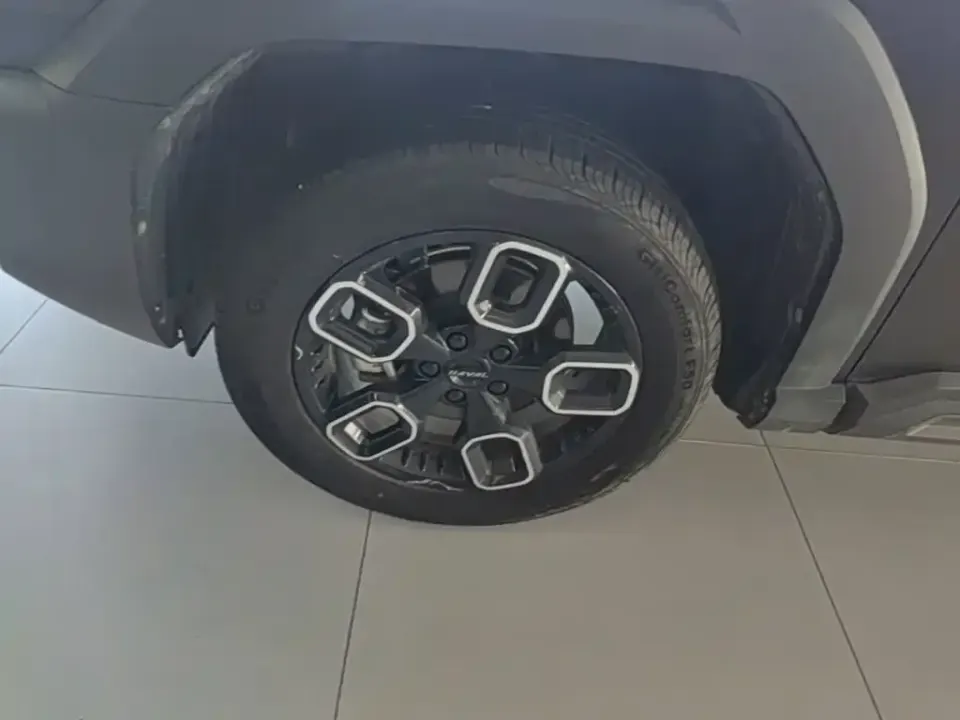 Haval Cool Dog