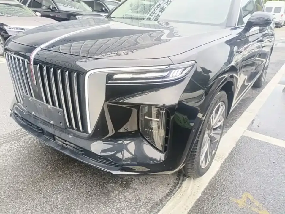 Hongqi Hongqi E-HS9