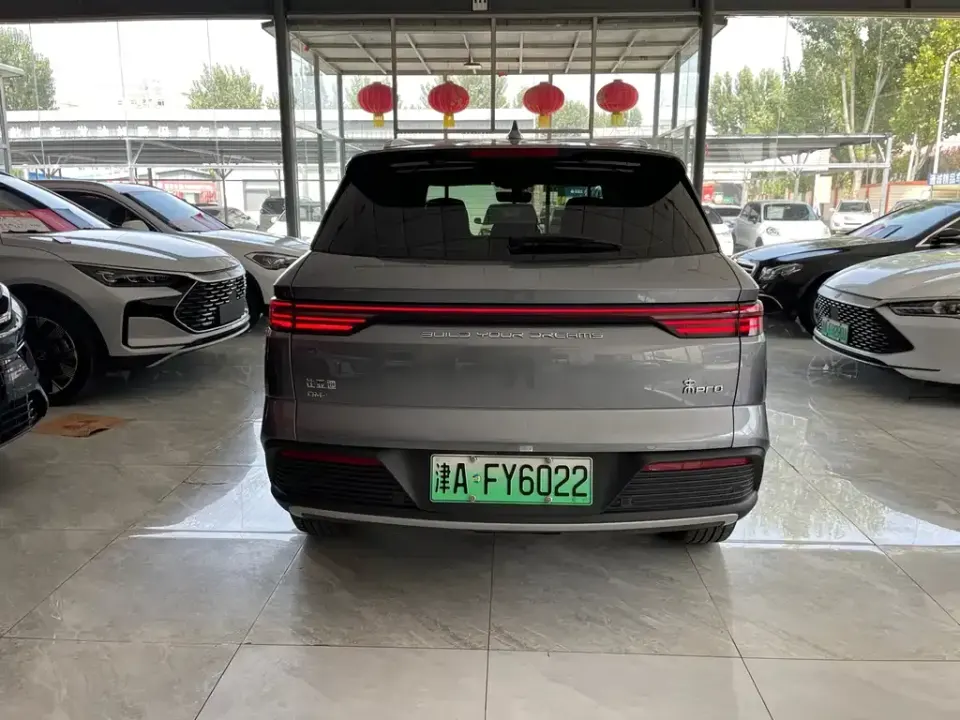 BYD Pro New Energy