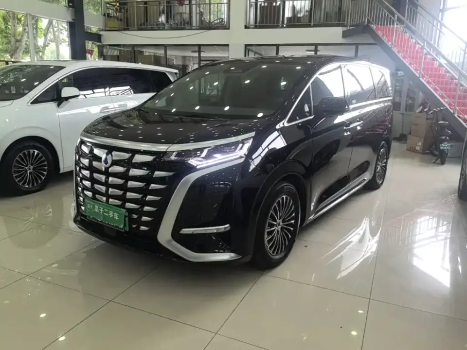 Denza Denza D9