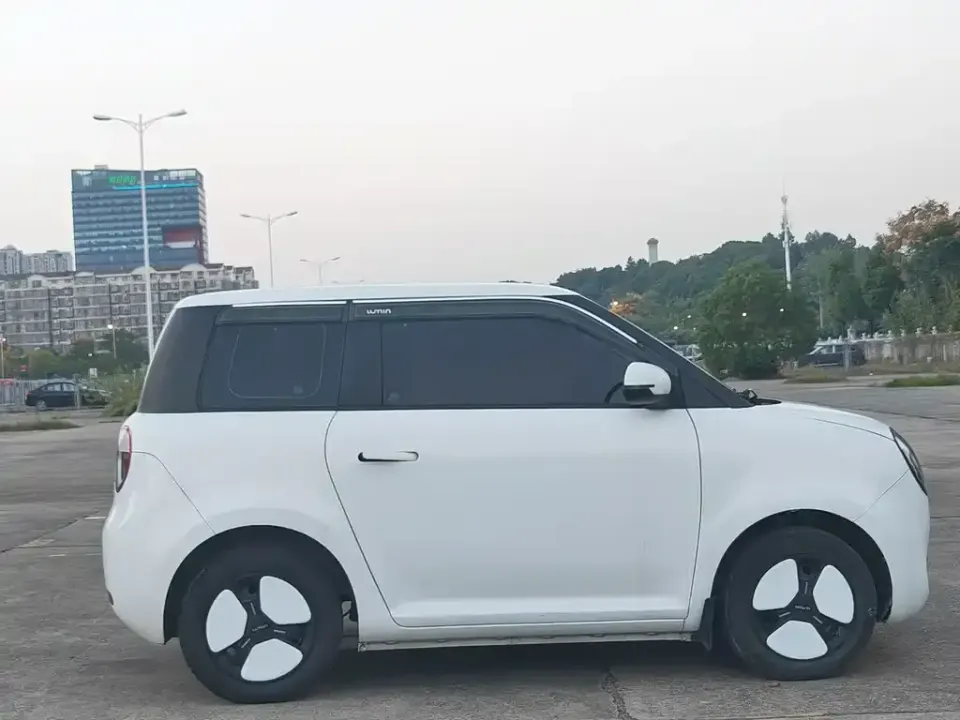 Qiyuan Lumin