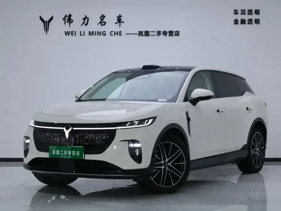 Voyah Zhiyin