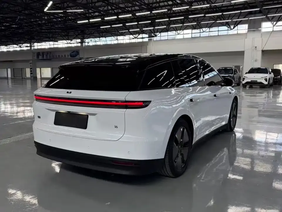 Li Li i6