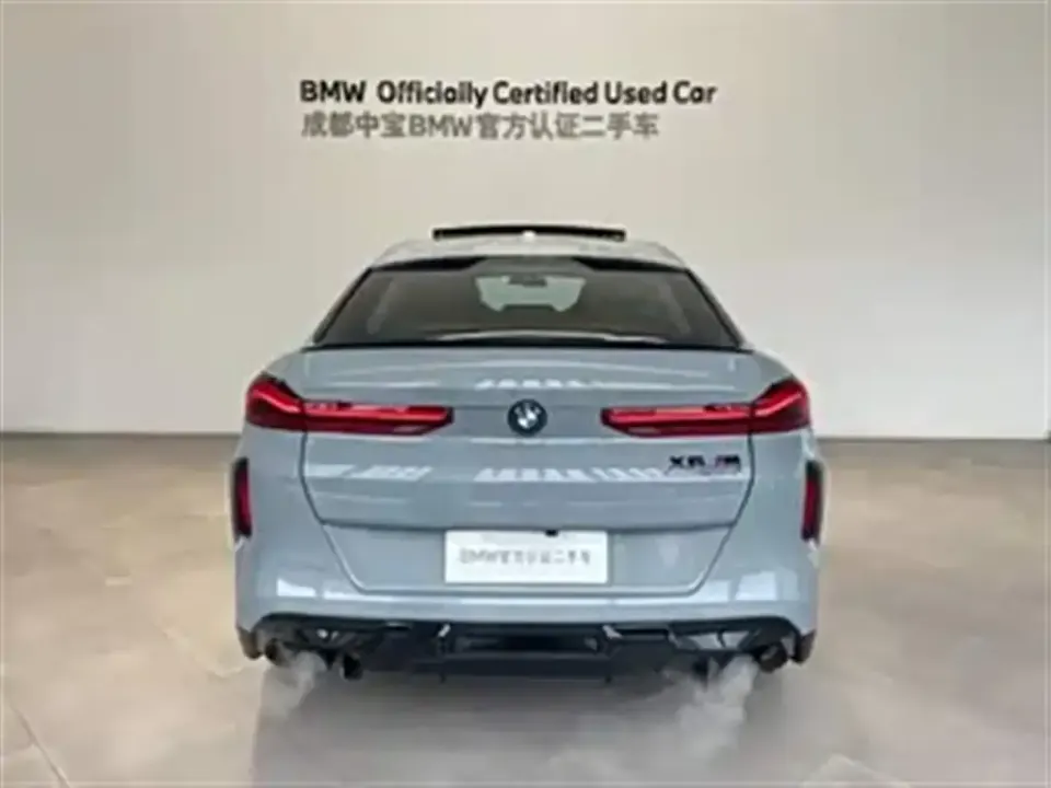 BMW X6 M