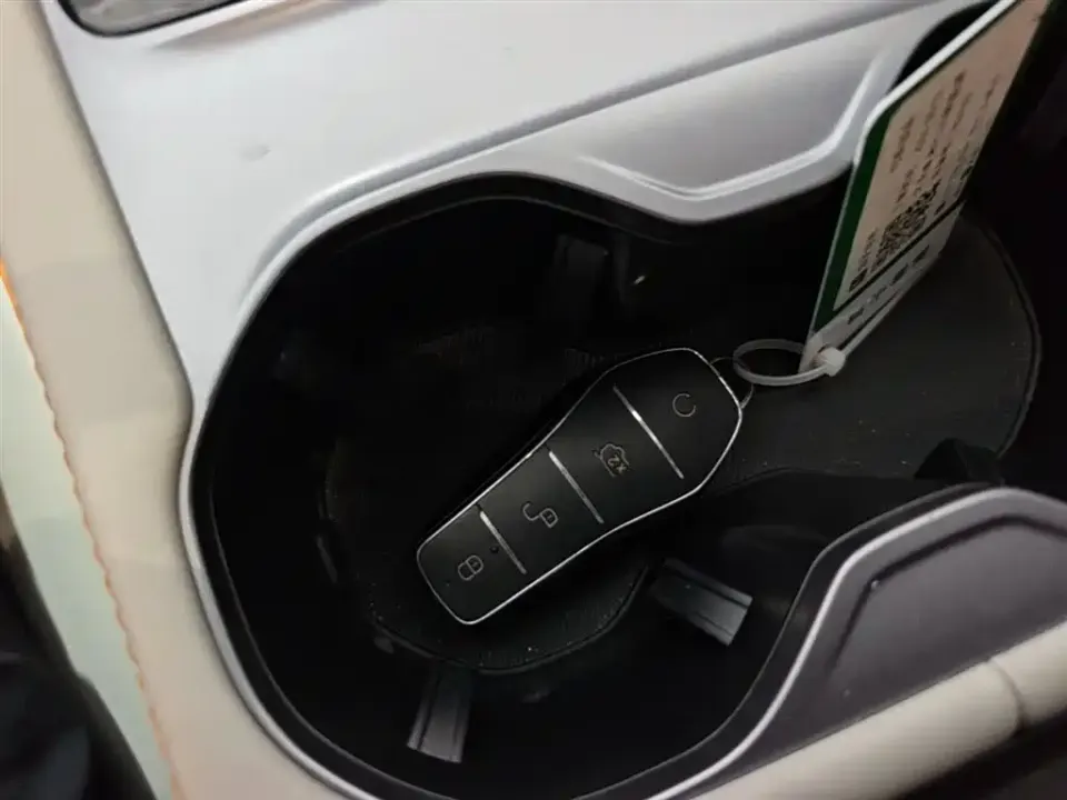 BYD PLUS New Energy