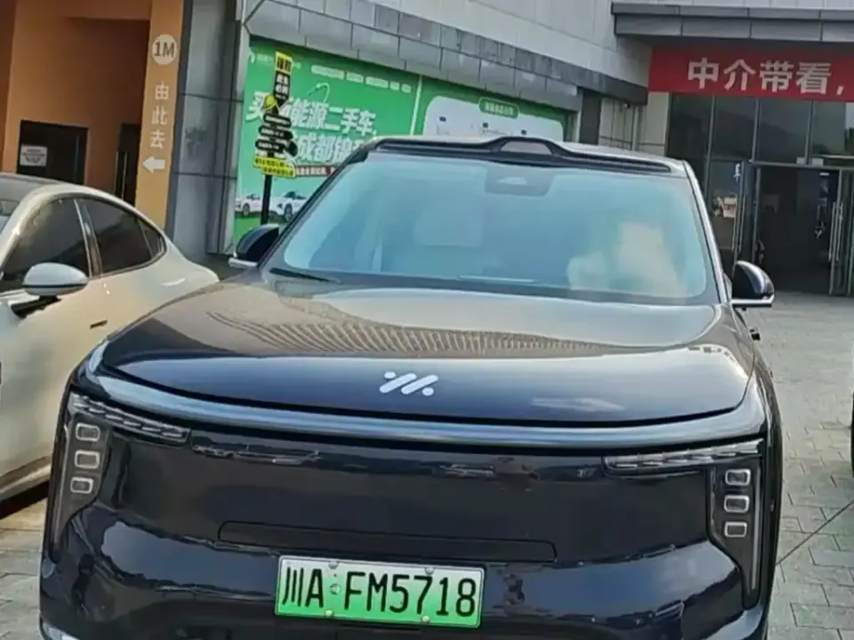 IM Motors IM LS9