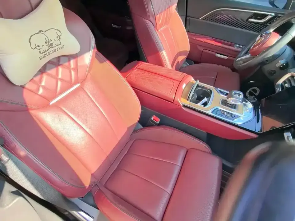 Hongqi Hongqi E-HS9