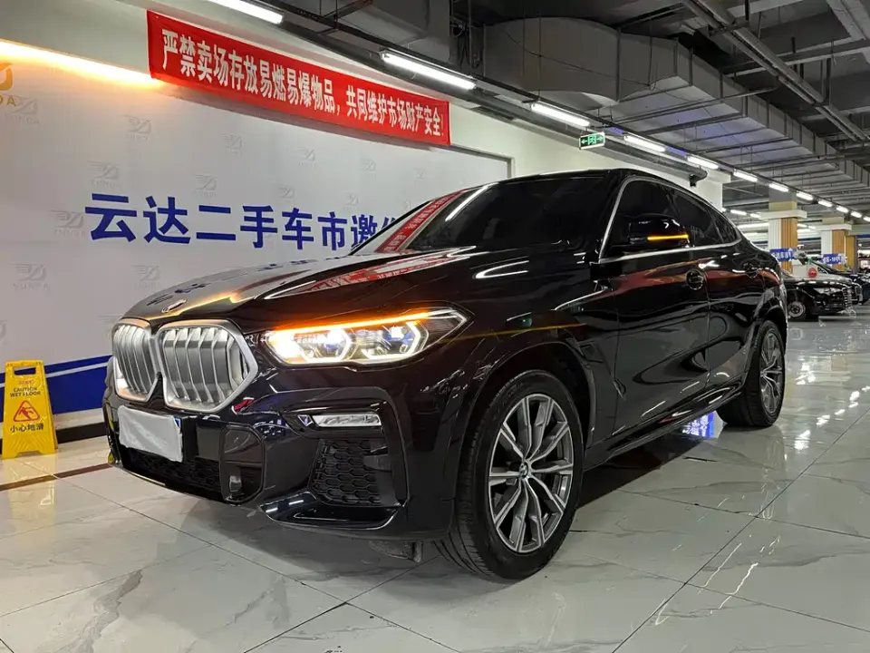 BMW X6