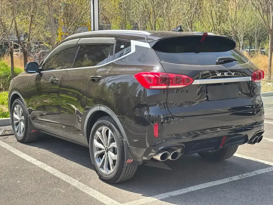 WEY Wey VV6