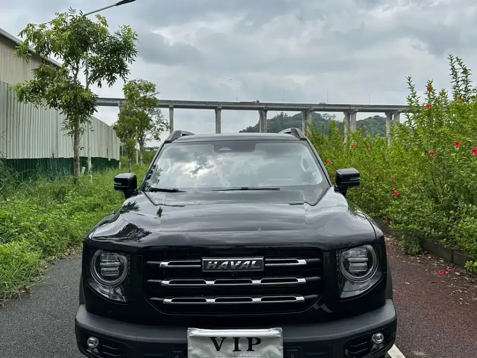Haval Big Dog