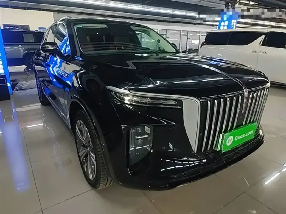 Hongqi Hongqi E-HS9