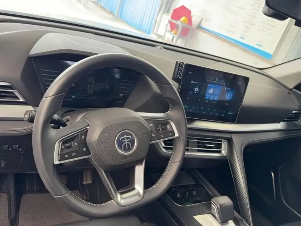 BYD Pro