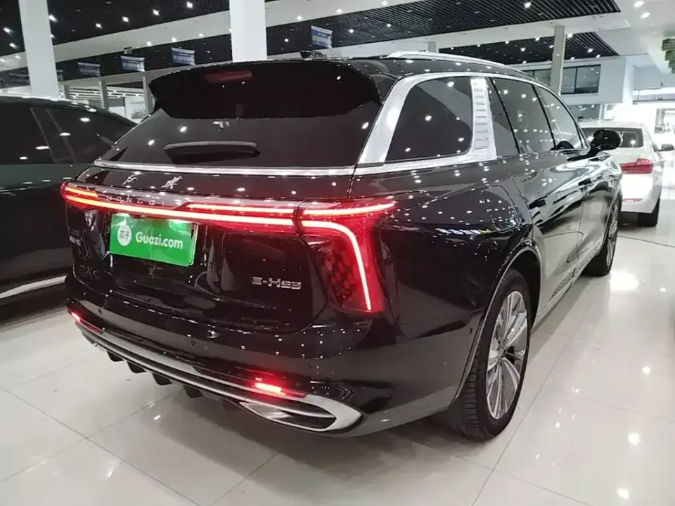 Hongqi Hongqi E-HS9