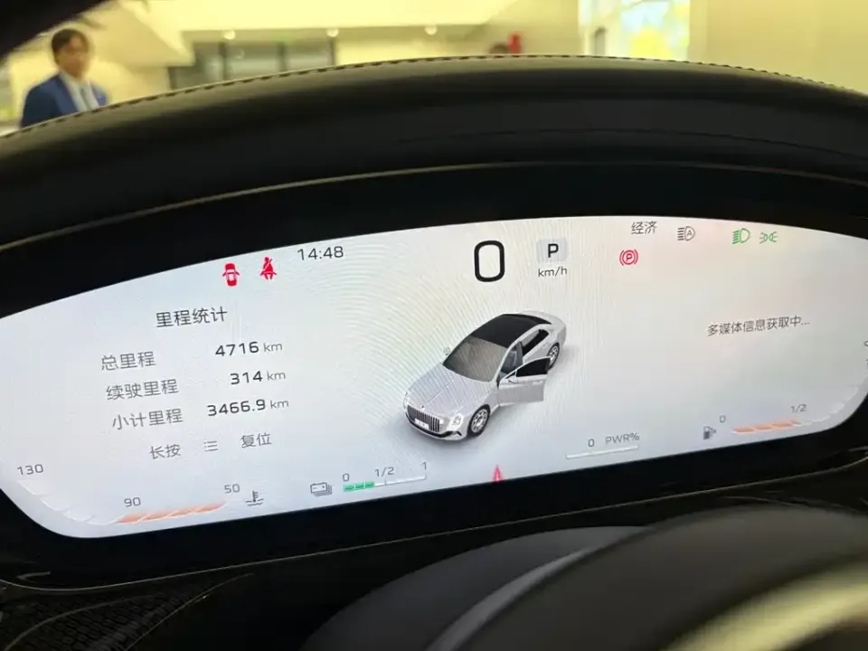 Hongqi Hongqi Golden Sunflower Guoya
