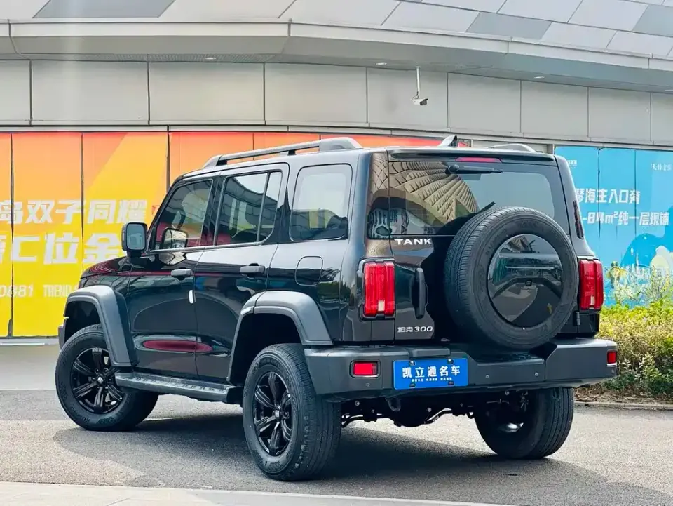 Tank 300