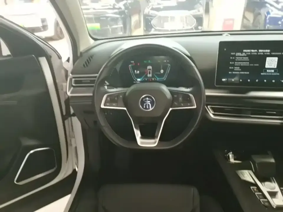BYD Pro