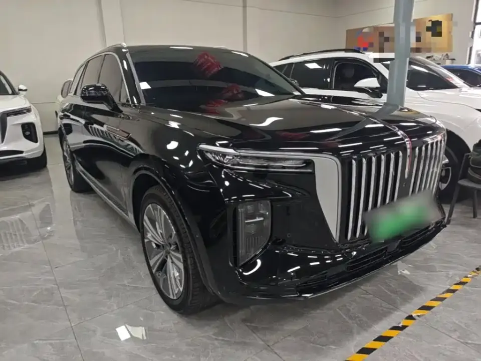 Hongqi Hongqi E-HS9