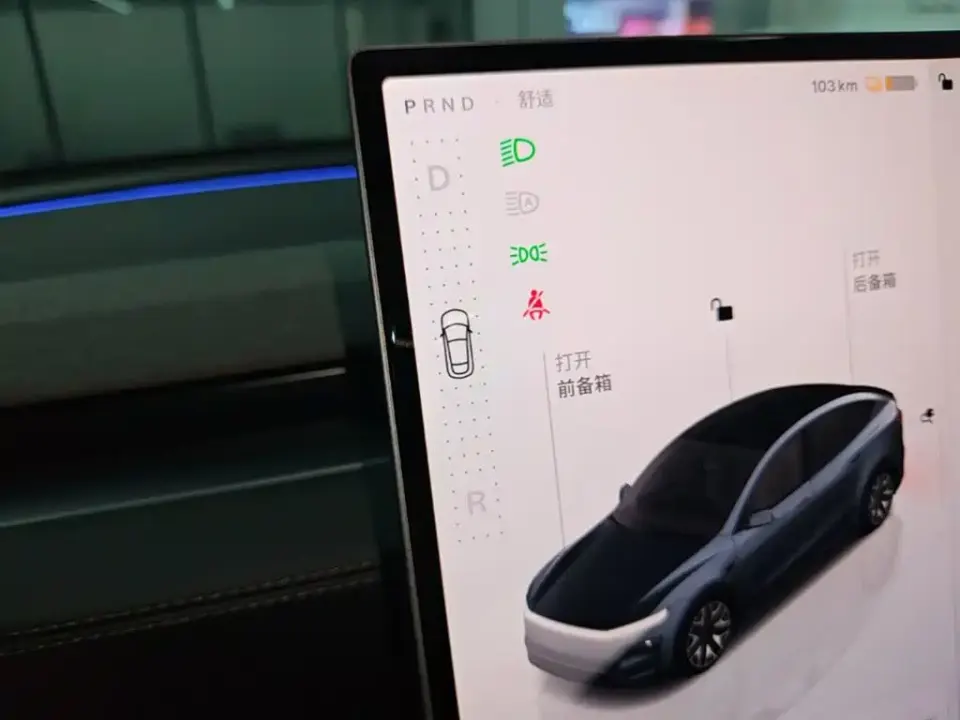 Tesla Model Y L