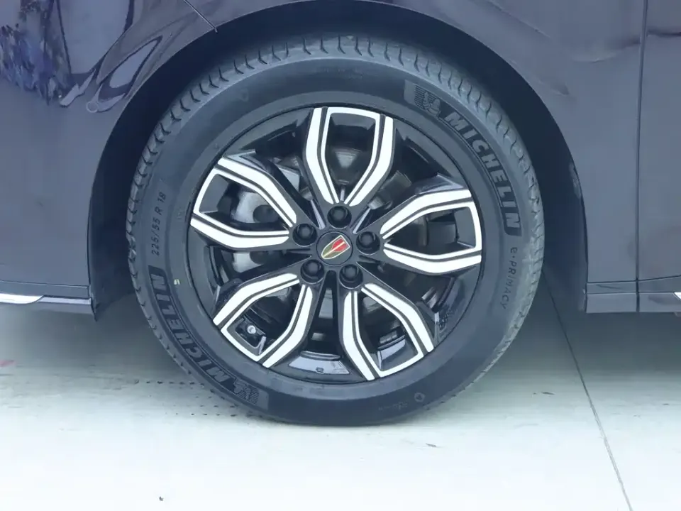 Hongqi Hongqi HQ9