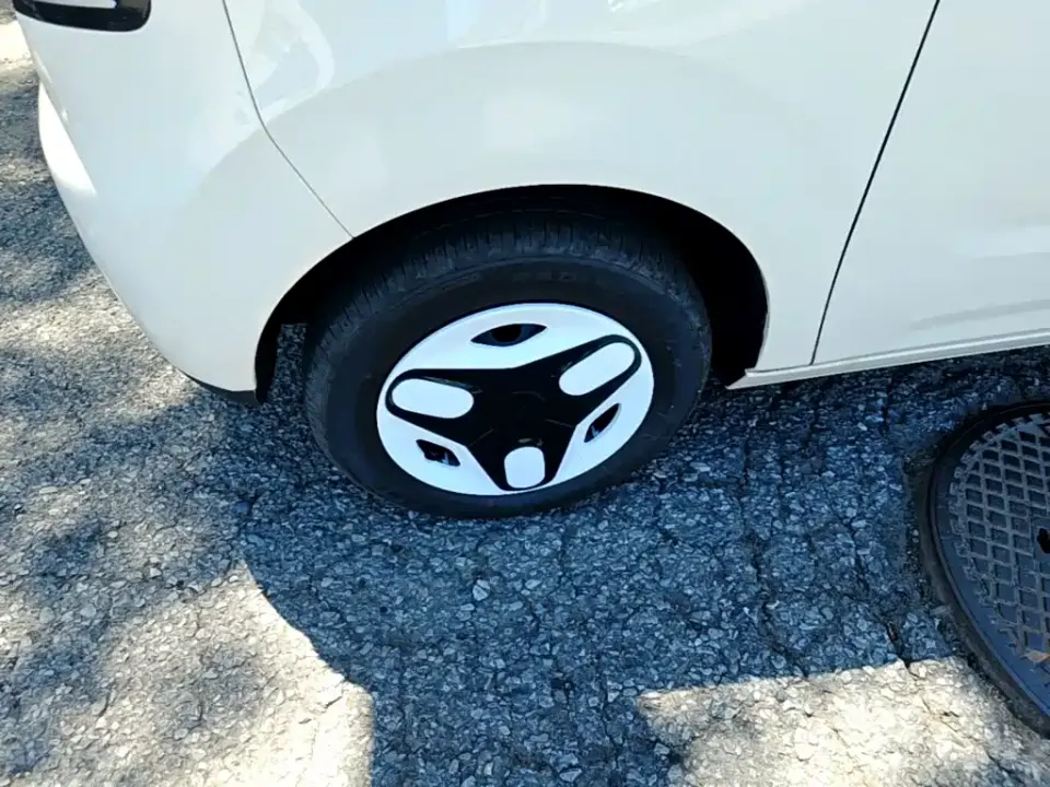 Galaxy Panda