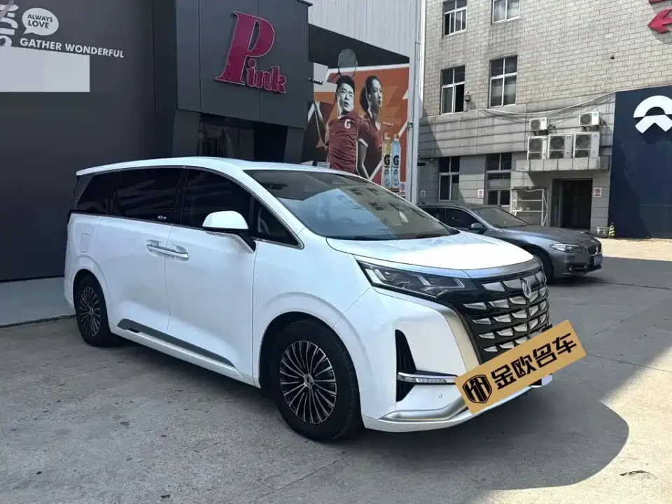 Denza Denza D9