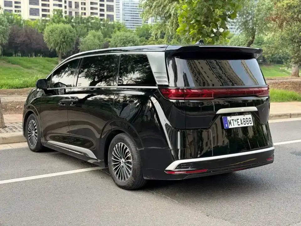 Denza Denza D9