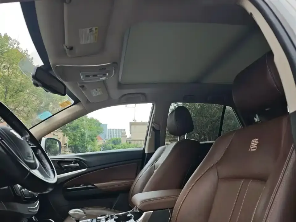 BYD Tang New Energy
