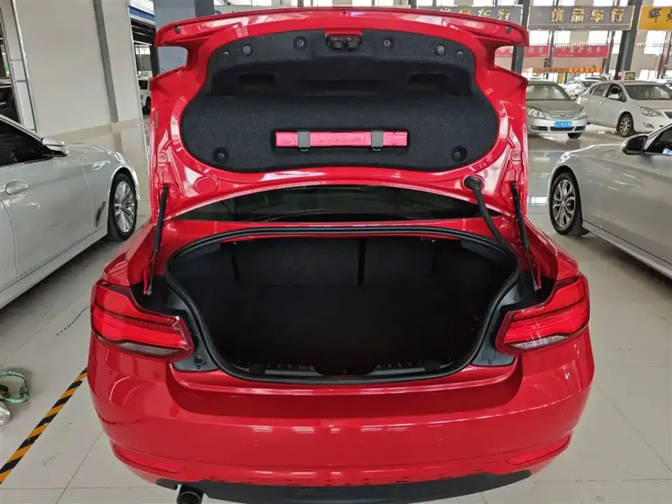 BMW 2 Series (Import)