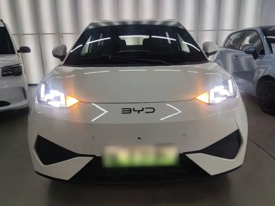 BYD Seagull