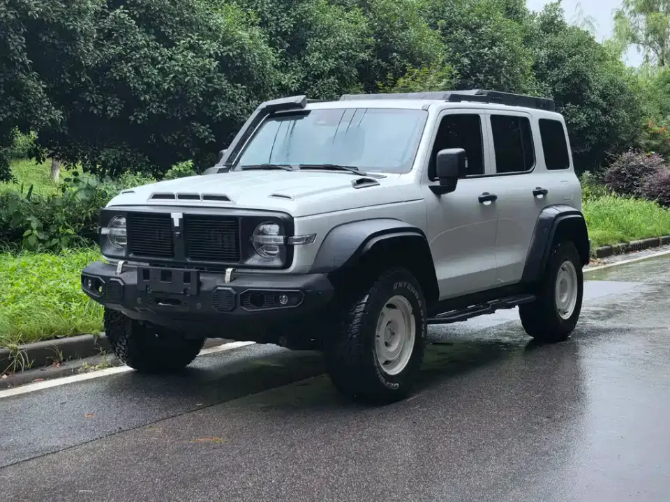 Tank 300