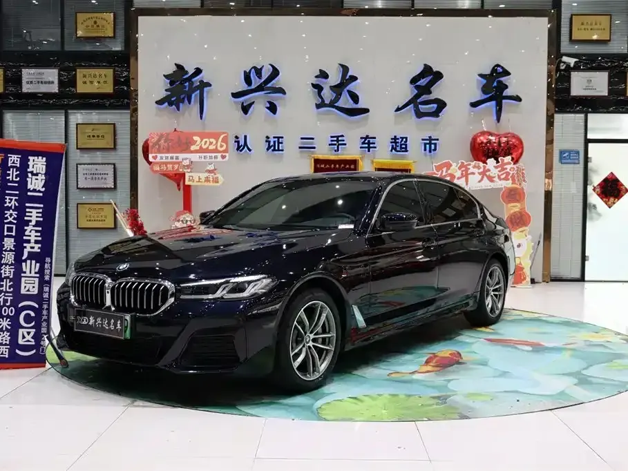 BMW 5 Series New Energy