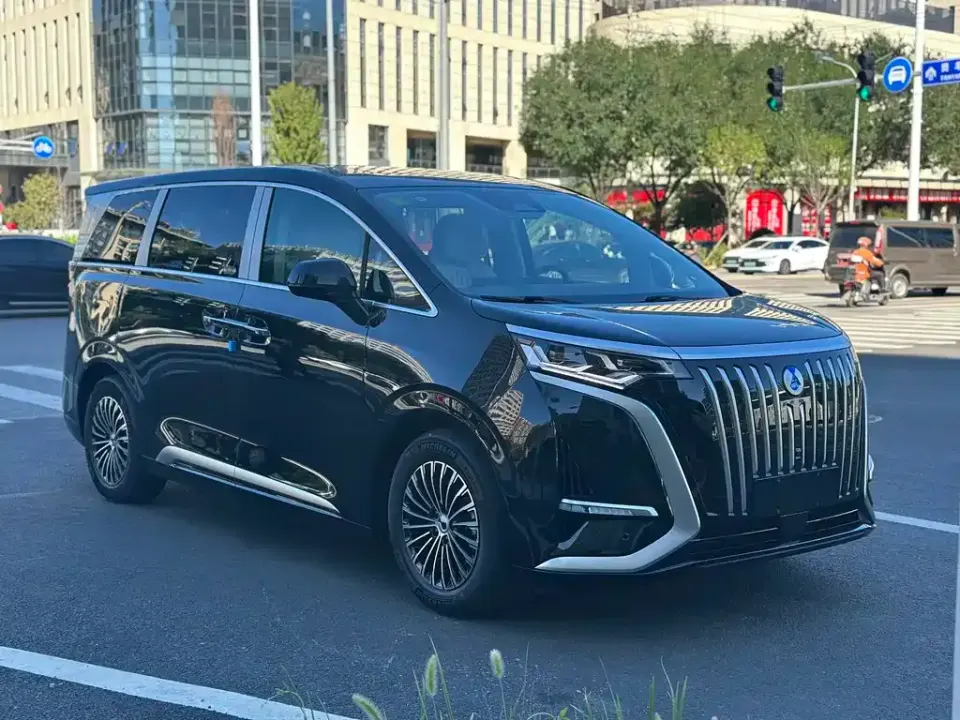 Denza Denza D9