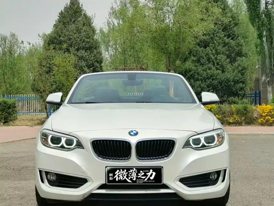 BMW 2 Series (Import)