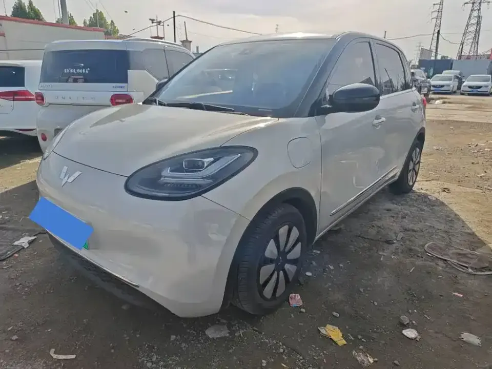 Wuling Bingo