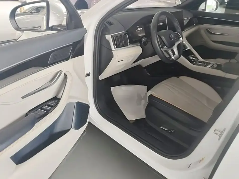 BYD PLUS New Energy