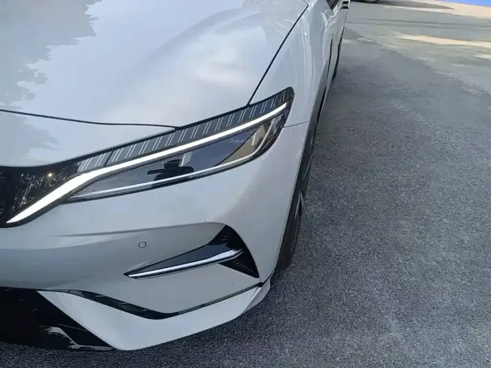 BYD L EV