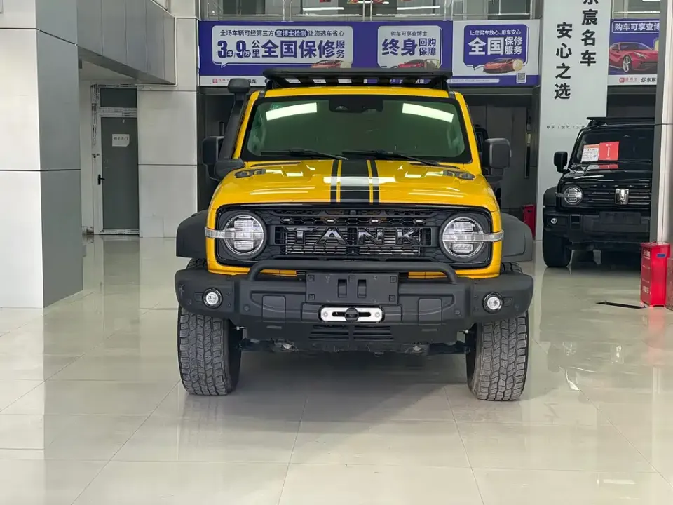 Tank 300