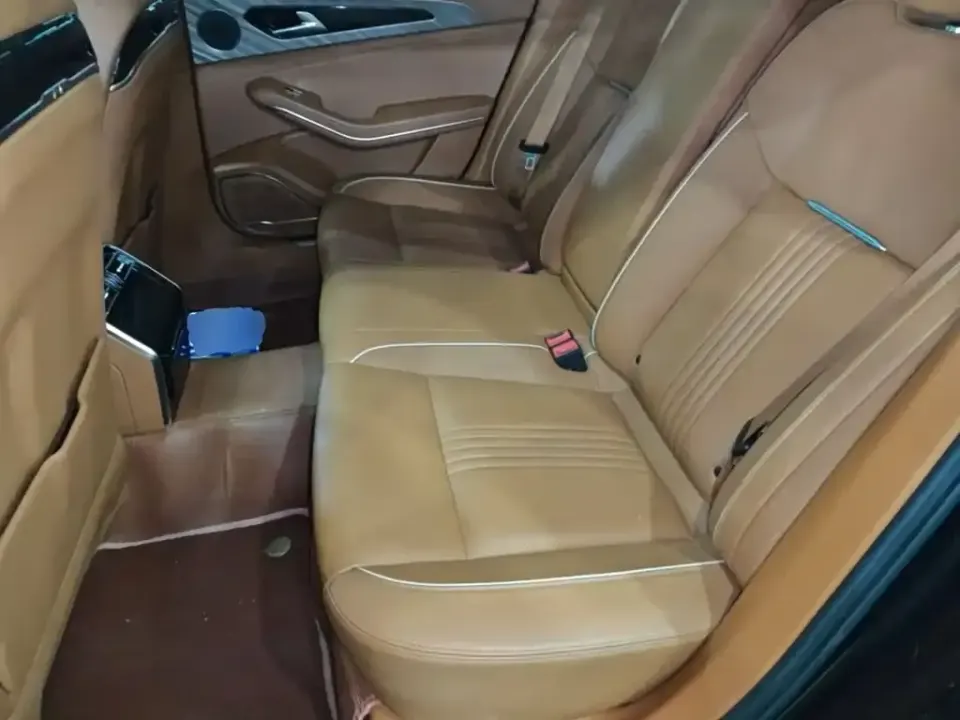 Hongqi Hongqi H9